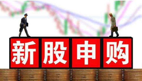 <b>9月5日新股申購一覽</b>