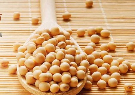 最新大豆期貨價格_10月10日大豆期貨行情查詢