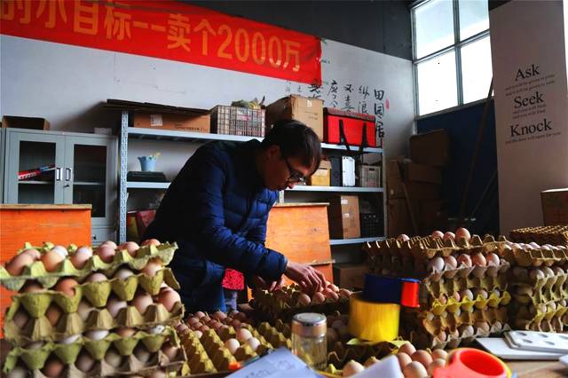 品蛋師每天數次品嘗雞蛋，曾吃雞蛋到吐