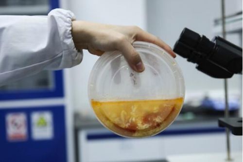 創意營銷：餓了么試點投放“安全餐盒” 確保密封性湯汁不外撒