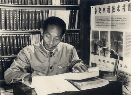 袁隆平倆小目標：超級稻+化灘涂為良田！