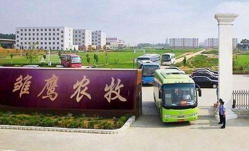 雛鷹農(nóng)牧噩夢(mèng)：業(yè)績(jī)?cè)旒佟⒐煞輧鼋Y(jié)，還有幾個(gè)