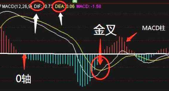 macd指標(biāo)（股票經(jīng)典術(shù)語最強(qiáng)解析）