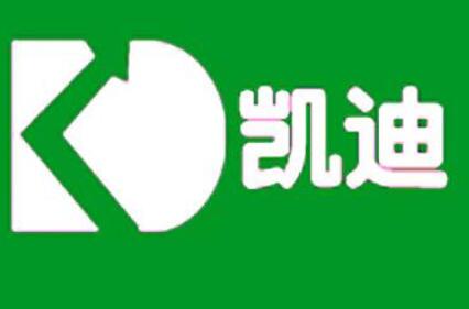 凱迪電力股票