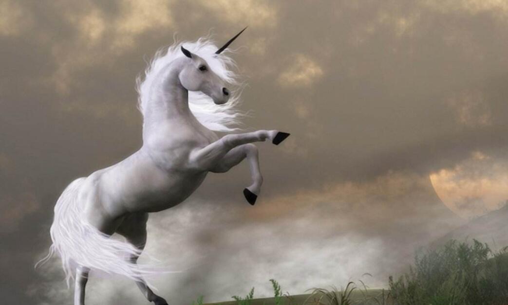 財經(jīng)365視界-病毒追來時“獨角獸”先亡！