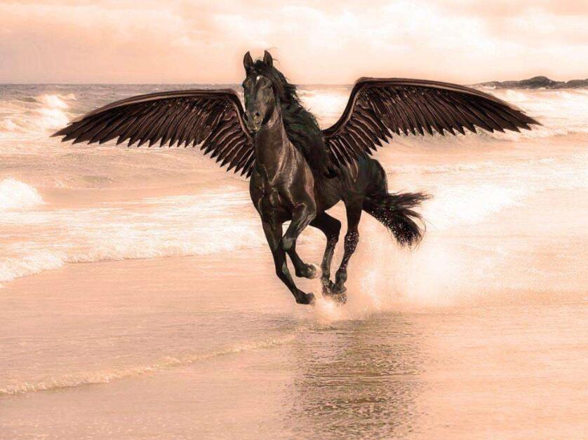 中消協點名羅永浩 網絡直播概念股