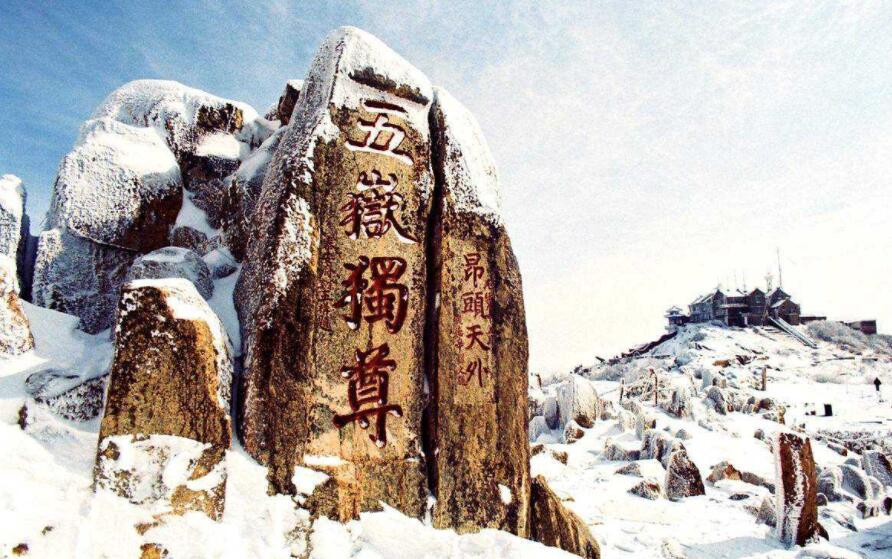 2020泰安上市公司有哪些-泰安上市公司名單