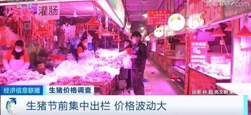 生豬節前集中出欄 價格波動大