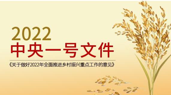 2022年中央一號(hào)文件發(fā)布