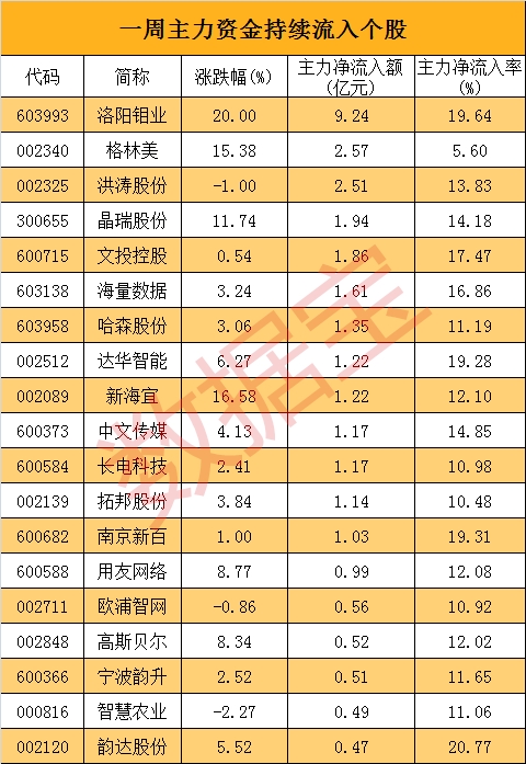 陳見南_副本