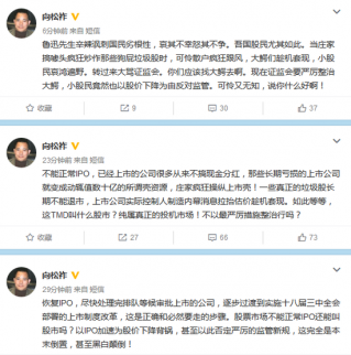 向松祚：股市下跌的鍋讓IPO來背是黑白顛倒 力挺