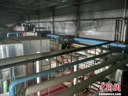 湖南加速布局畜牧業綠色循環發展 釋放“生態紅利”