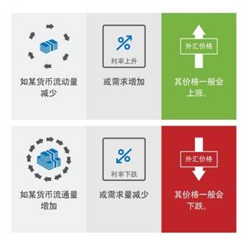 如何投資外匯：外匯市場的投資參與者