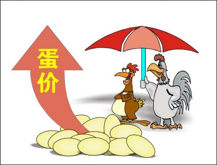 期市交易比現(xiàn)貨市場更為理性，穩(wěn)定雞蛋價格預期需要指路標