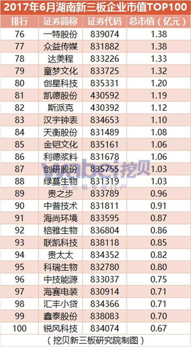 2017年6月湖南新三板企業市值TOP100（挖貝新三板研究院制圖）4