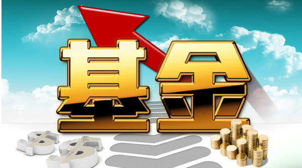 公司型基金