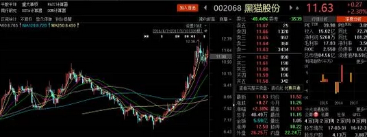 黑貓股份