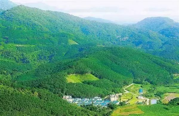 鄉村旅游成奪目亮點！先進管理+創意的鄉村生活你體驗過嗎？