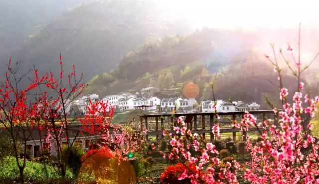 創業資訊：青山綠水依舊 鄉村旅游經濟該如何騰飛？