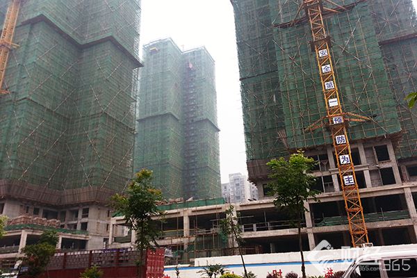 內房股資料圖