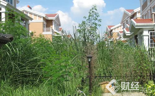 荒廢的別墅