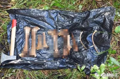 三兄弟自制槍支獵殺國(guó)家公園三頭黑熊：割熊掌剝熊膽倒賣(mài)
