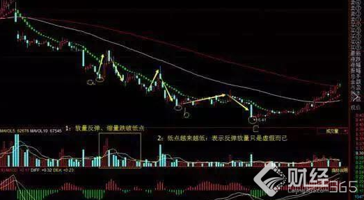 虛假性反彈