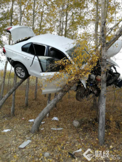 <b>黑龍江離奇車禍：私家車竟然飛到樹上？</b>