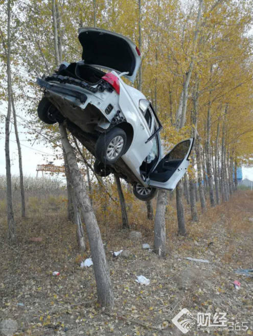 黑龍江離奇車禍：私家車竟然飛到樹上？