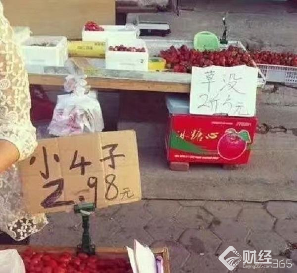 創業資訊|奇思妙想小創意，“玩”“賺”三百六十行！（二）