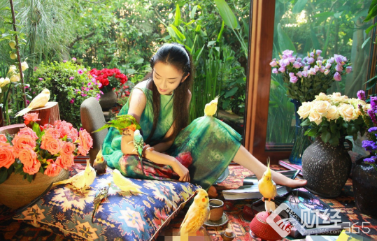 “孔雀女神”楊麗萍