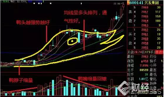 千金難買老鴨頭：最新經典黑馬形態“老鴨頭戰法” 就這么簡單