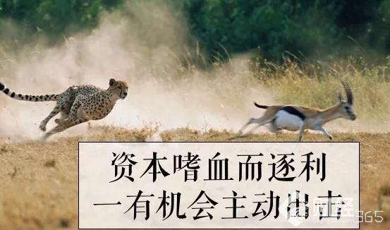 資本主義的丑惡，盡在紅黃藍股票？