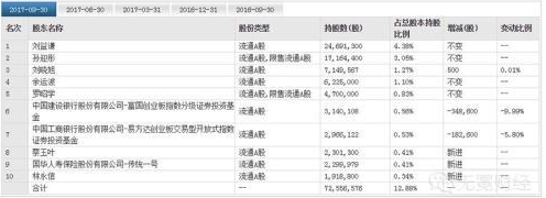 國民技術十大股東
