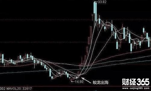 股票入門基礎(chǔ)知識(shí)