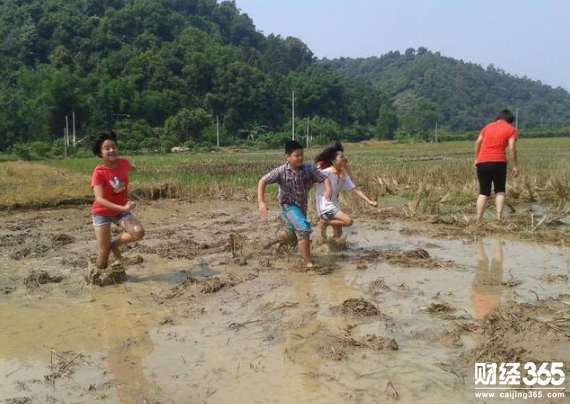 大學生創業：月薪3千求職無人錄用，她返鄉創業月入10萬！