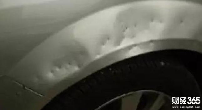 400萬豪車被牧羊犬練牙 誰來負責？