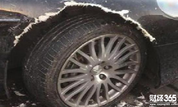 400萬豪車被牧羊犬練牙 誰來負責？