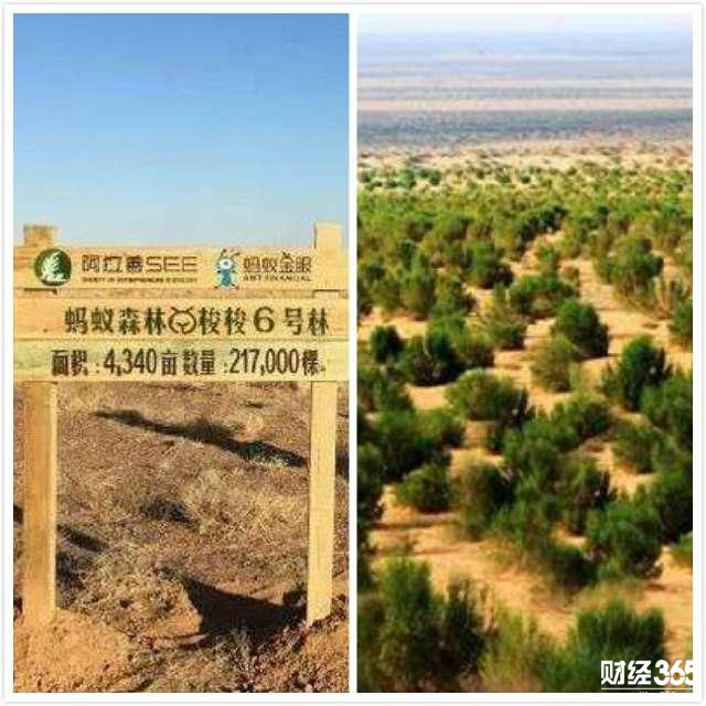 除了發(fā)紅包，馬云還用支付寶干了一件轟動全球的大事兒！