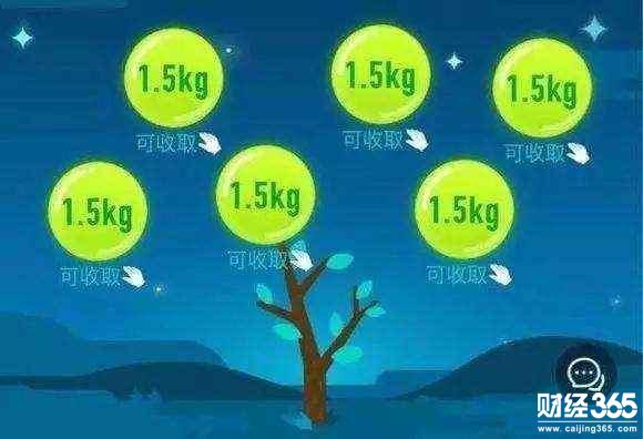 除了發(fā)紅包，馬云還用支付寶干了一件轟動全球的大事兒！
