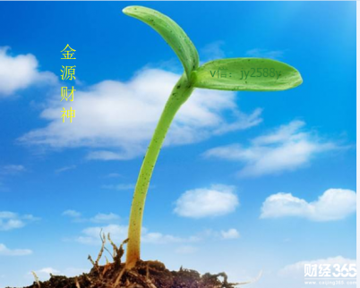 金源財神：1.3晚間黃金誘空看反彈，天然氣震蕩下行