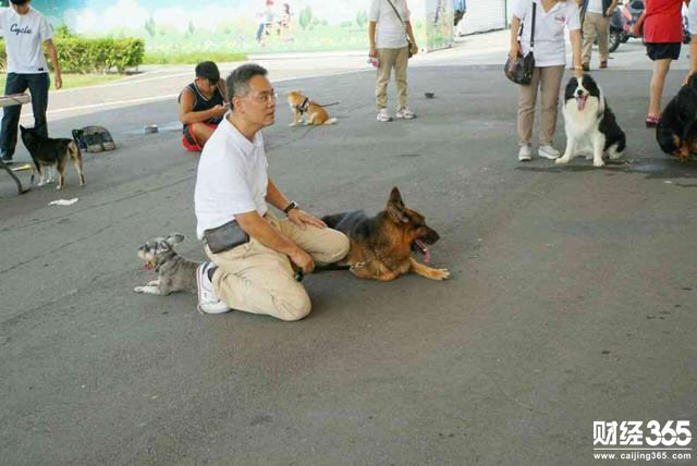 創業資訊：與寵物犬“打成一片” 訓犬師年入可達40萬！