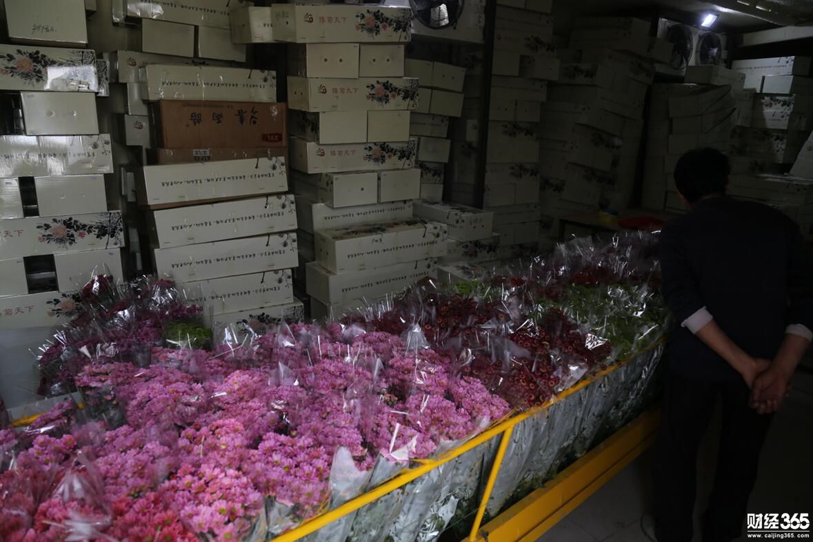 創業資訊：企業家變身花農，種花300萬株，仨月賺回數百萬元！