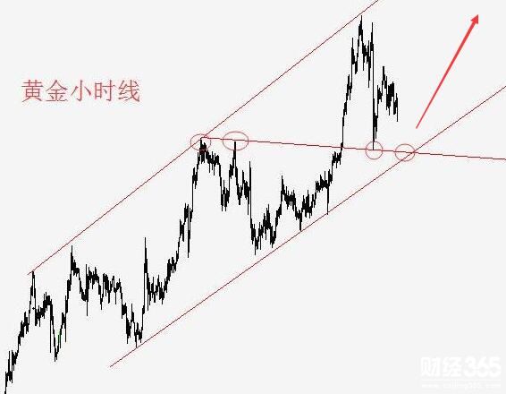 1月29午評黃金：本周黃金或許將再創新高