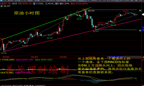善長理財：美盤黃金原油獨家分析策略