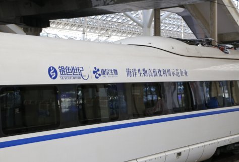 “銀色世紀(jì)號”高鐵專列正式開行！載著夢想，駛向深藍!