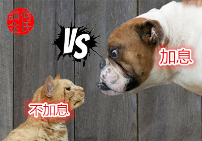 何氏論金：2.26黃金低開高走后市還會漲嗎？套單了怎么辦