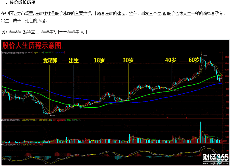 股票入門基礎知識：透視股價解密黑馬