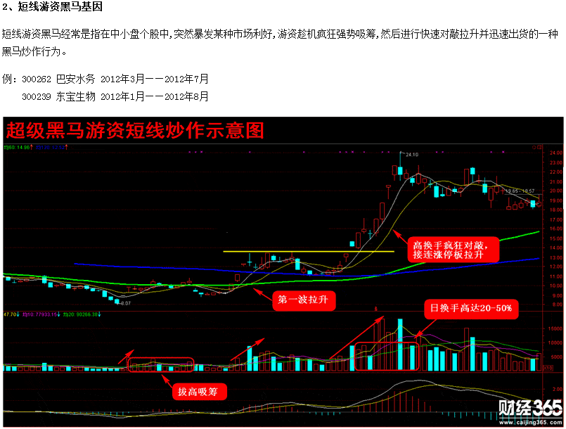 股票入門基礎知識：透視股價解密黑馬