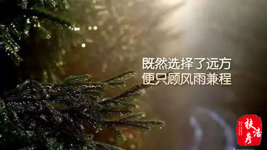 扶浩彥：2.27鮑威爾今晚或會透露這些對黃金影響的重要信息